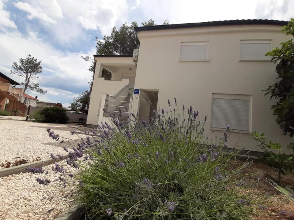 Apartman Bunaric Vir Dış mekan fotoğraf